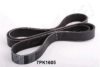 ASHIKA 112-7PK1605 V-Ribbed Belts